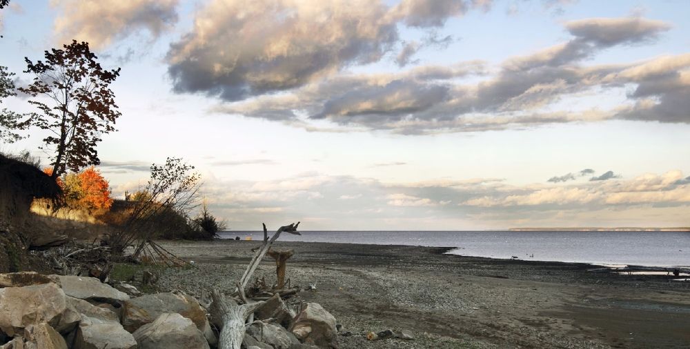 Photograph by Ольга Доловова