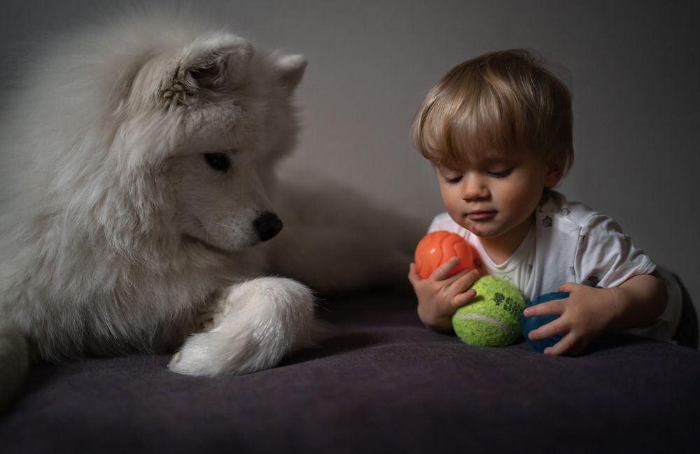 Photograph by Olga Hillenbrand