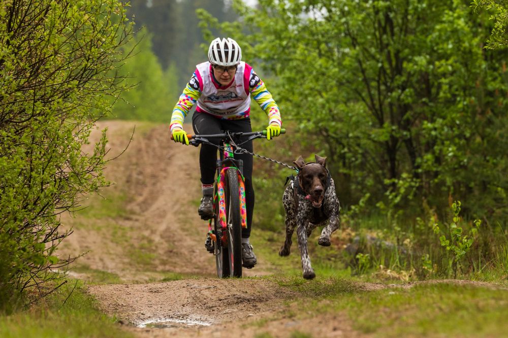 Photograph by Илья Юфа