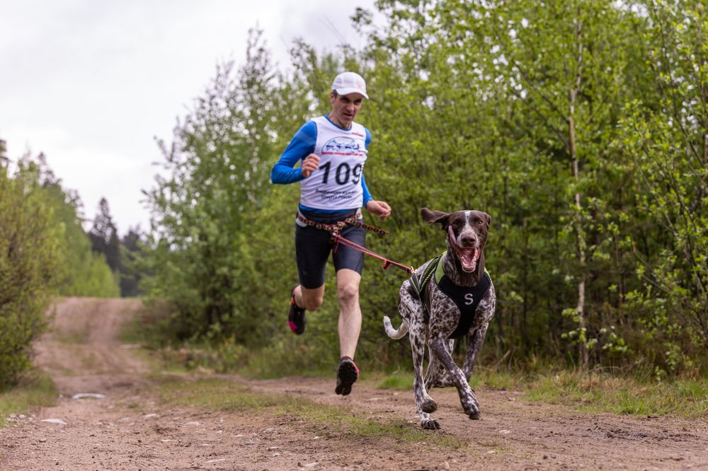 Photograph by Илья Юфа