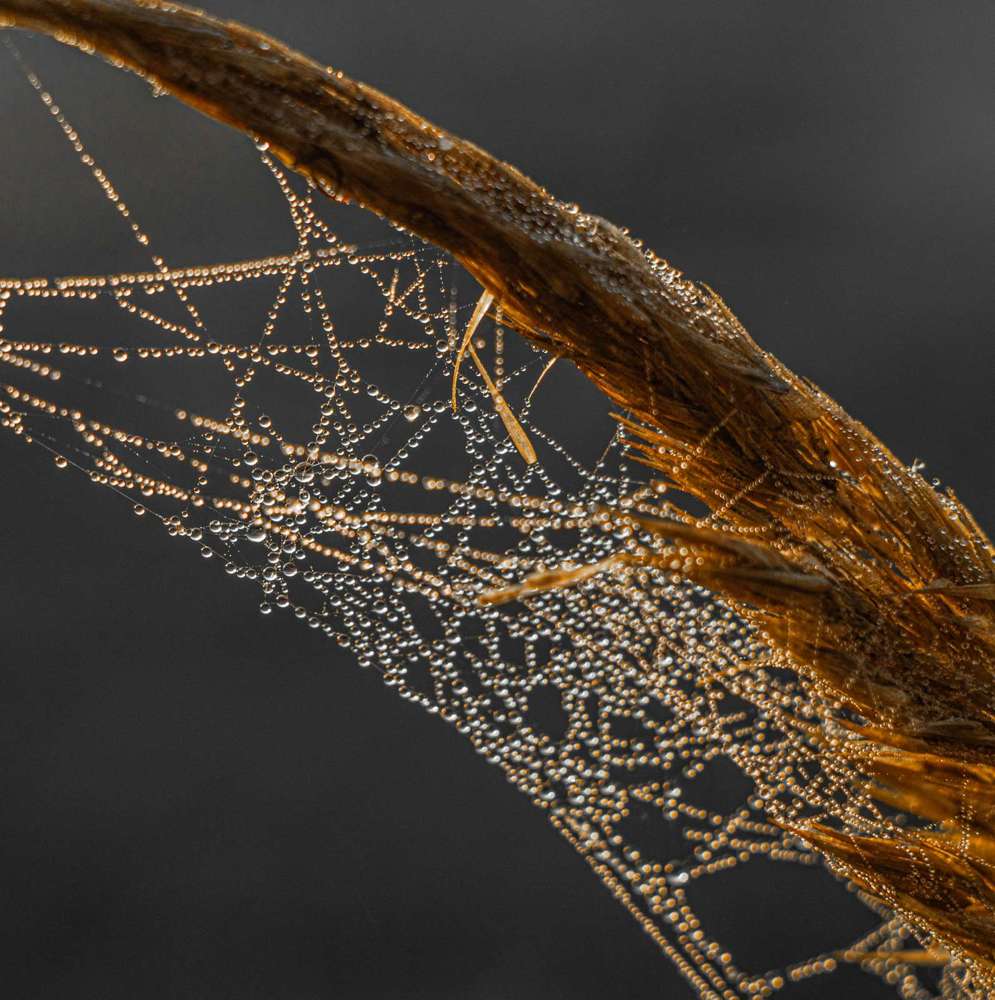 Фотография автора Екатерина Счасная