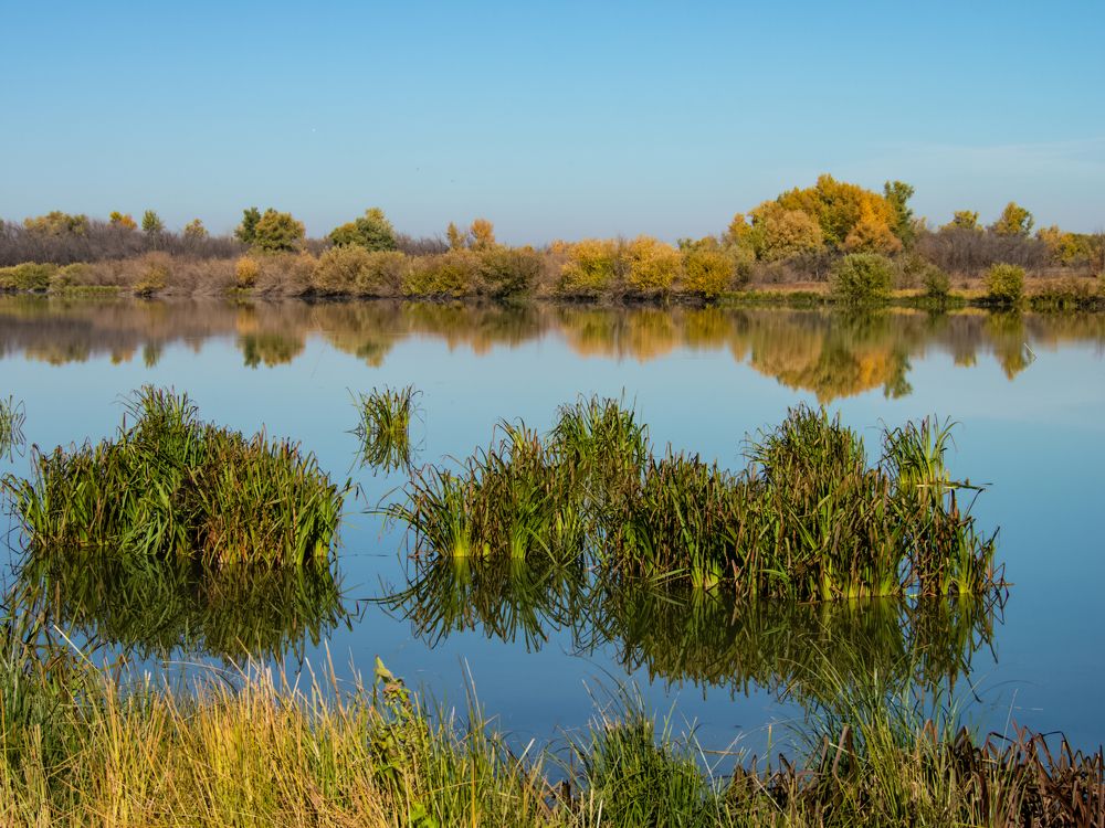 Photograph by Vladimir Rybalko