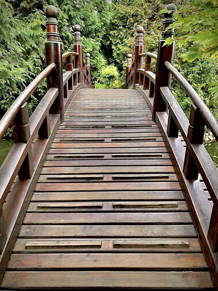 Photograph by Przemyslaw Wlodkowski