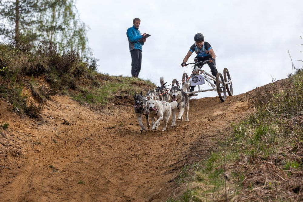 Photograph by Илья Юфа