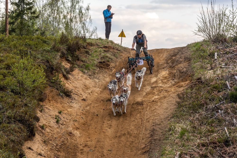 Photograph by Илья Юфа