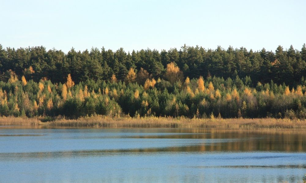 Photograph by Анастасия Павлова