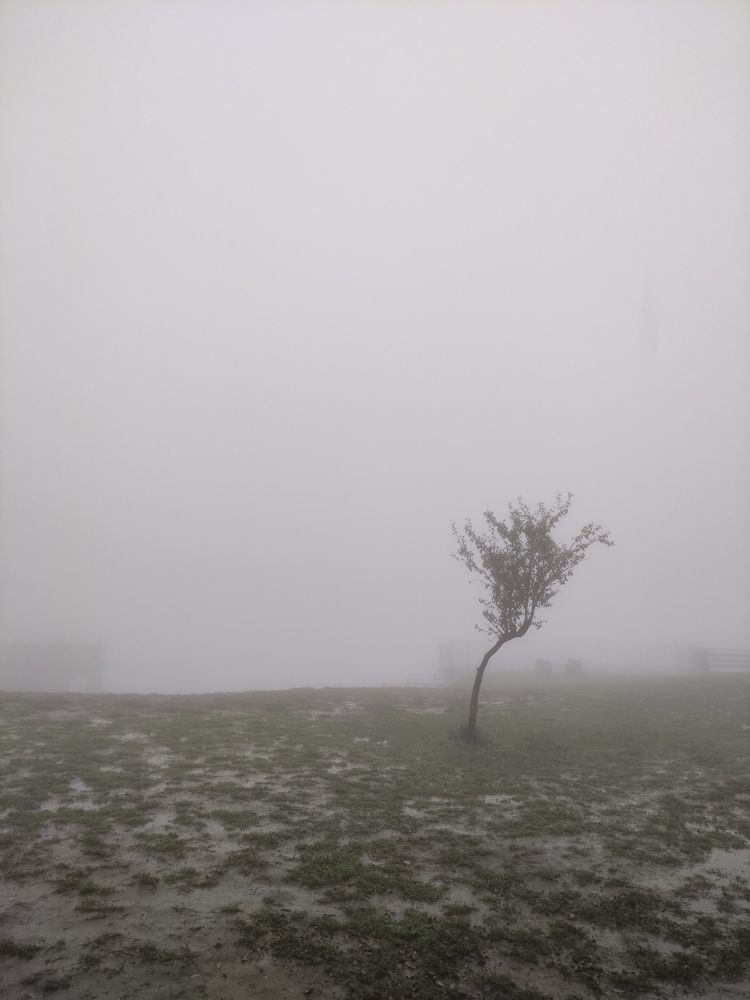 Photograph by Ирина Алексеевская