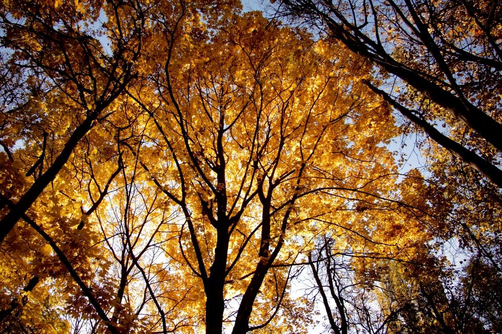 Photograph by Анастасия Павлова