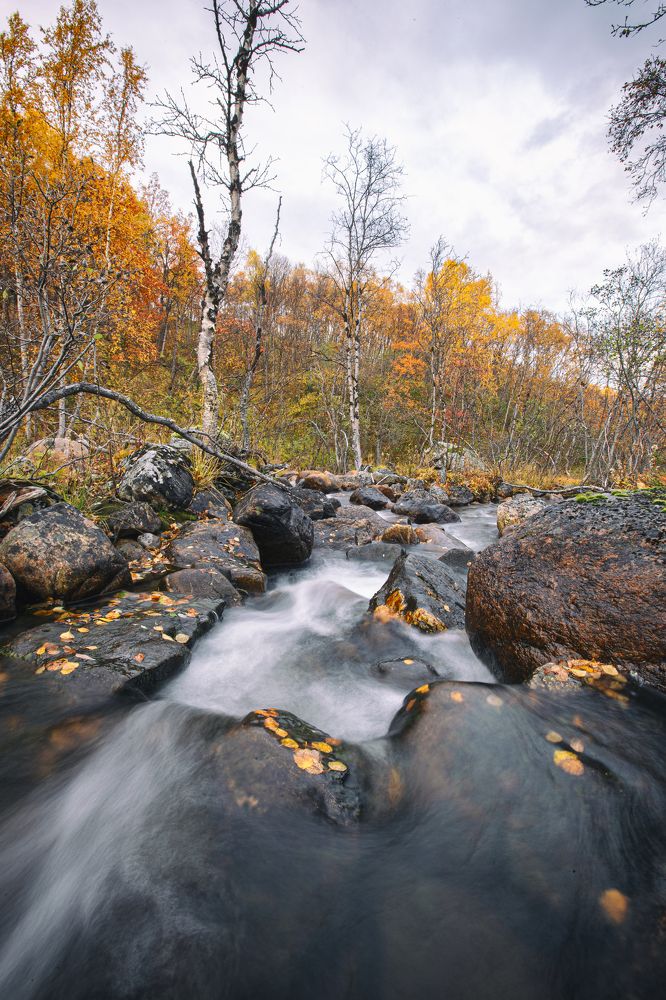 Photograph by ЕВГЕНИЙ СКАЛОЗУБОВ