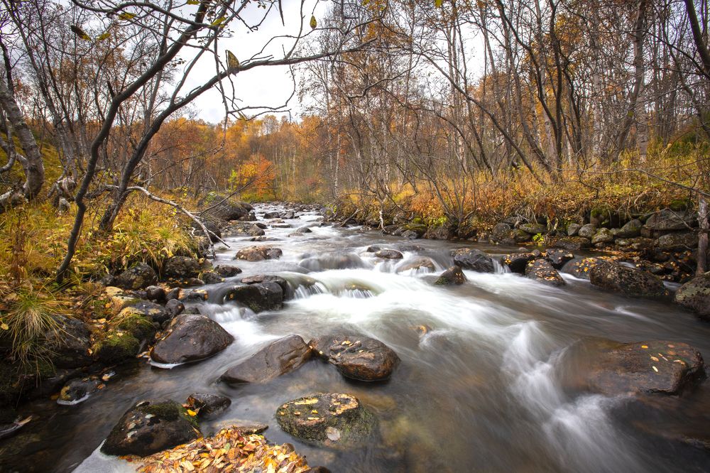 Photograph by ЕВГЕНИЙ СКАЛОЗУБОВ