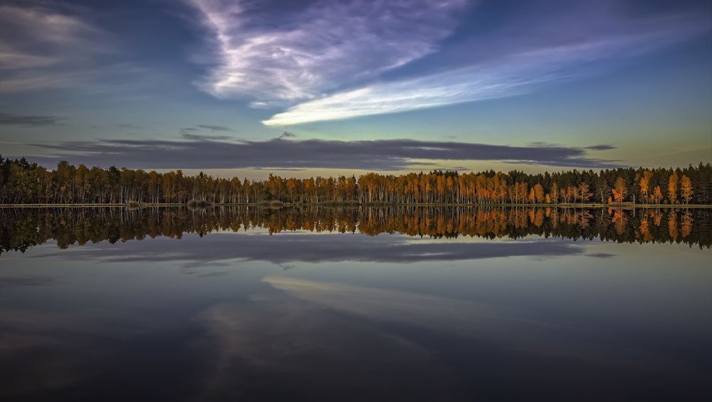 Фотография автора Дмитрий Тимошин