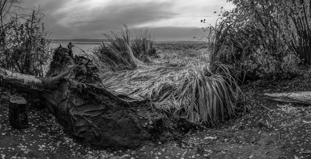 Photograph by Павел