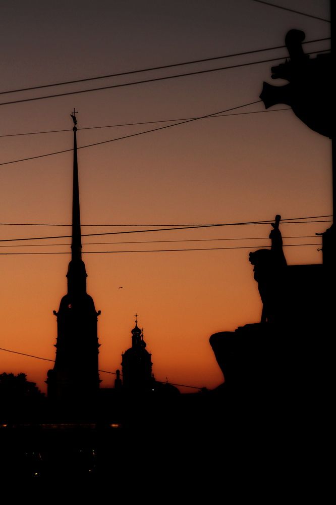 Photograph by Дарина