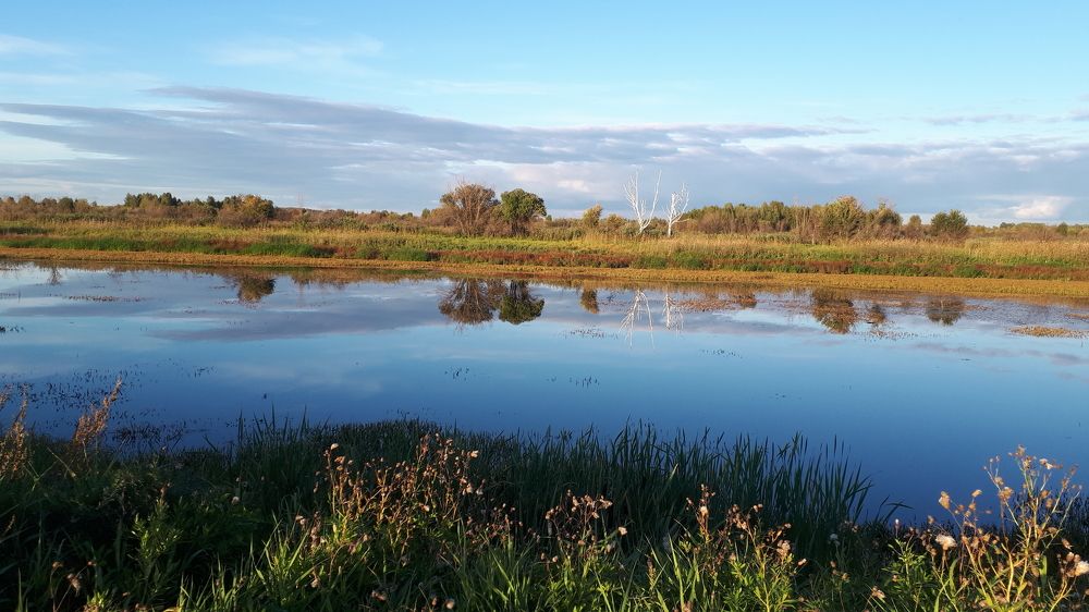 Photograph by Людмила Колеватова