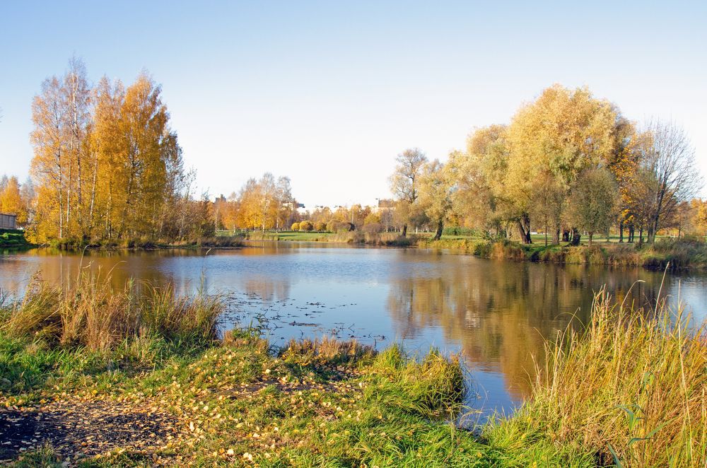 Осенний ручей