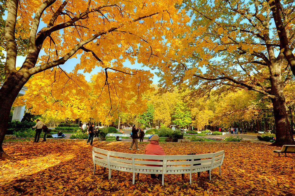 Фотография автора Николай Бо