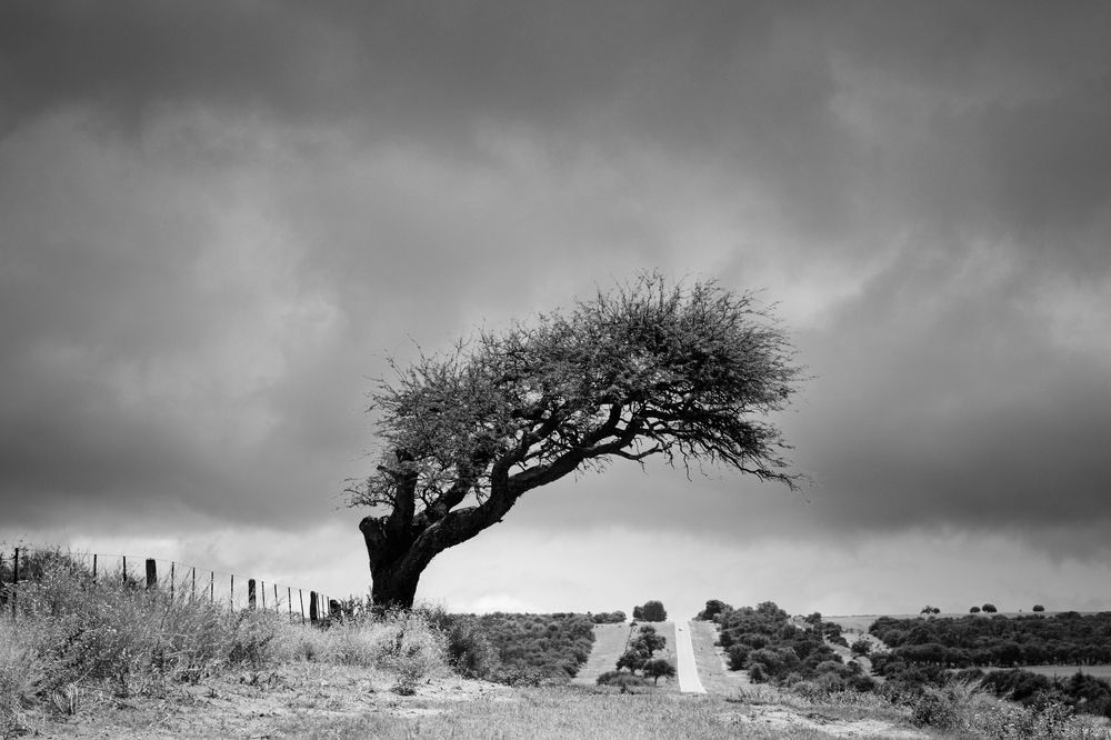 Photograph by Paula Aranoa