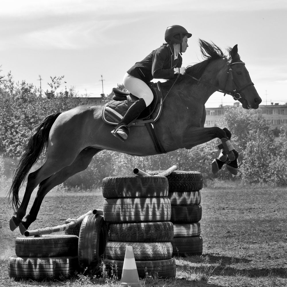 Конный спорт 005