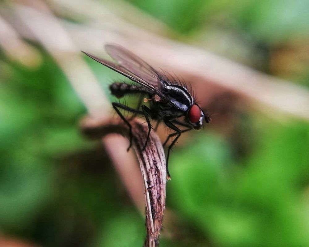 Photograph by Genesis Vivas