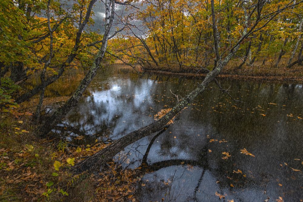 Photograph by Андрей Ефимов