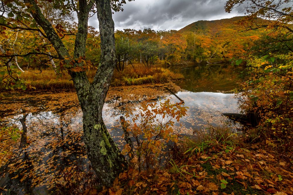 Photograph by Андрей Ефимов