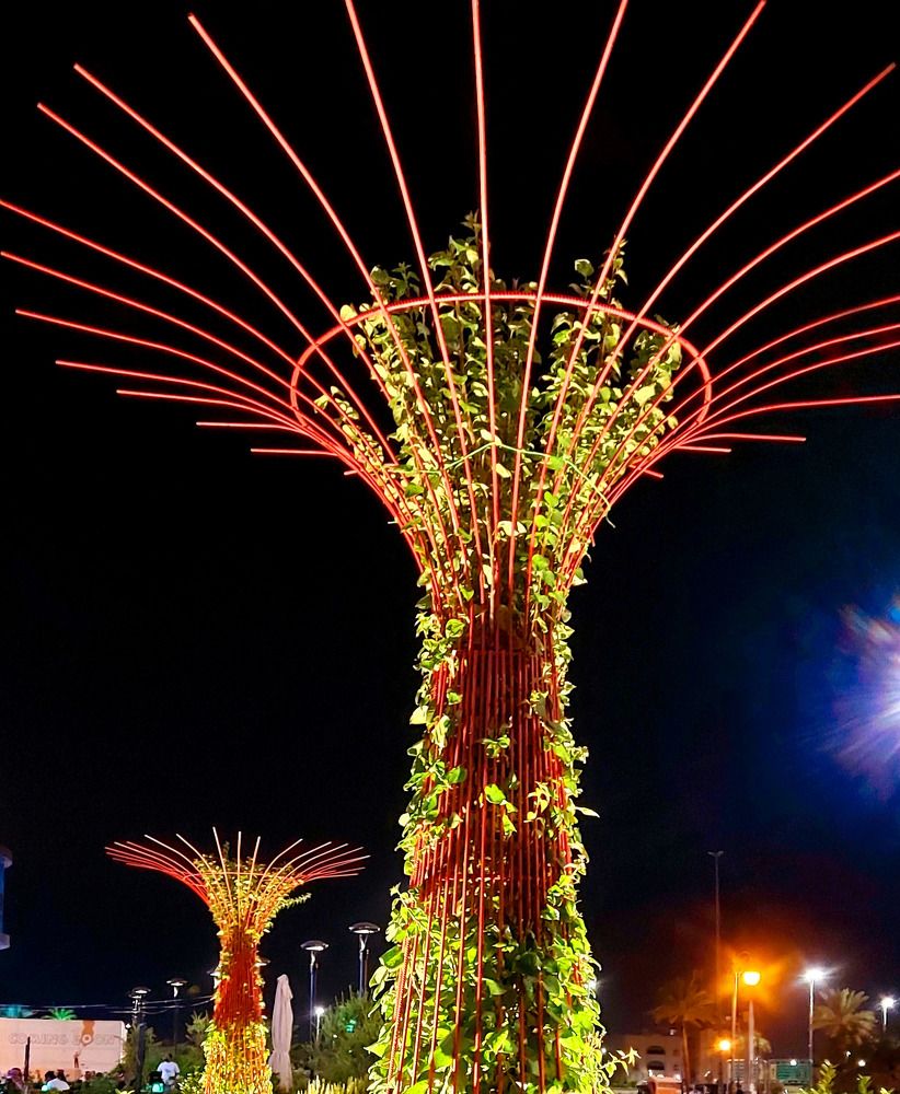 Фотография автора Venus Molina