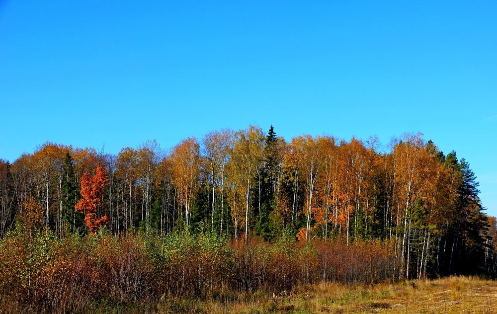 Photograph by Александр Бугаенко