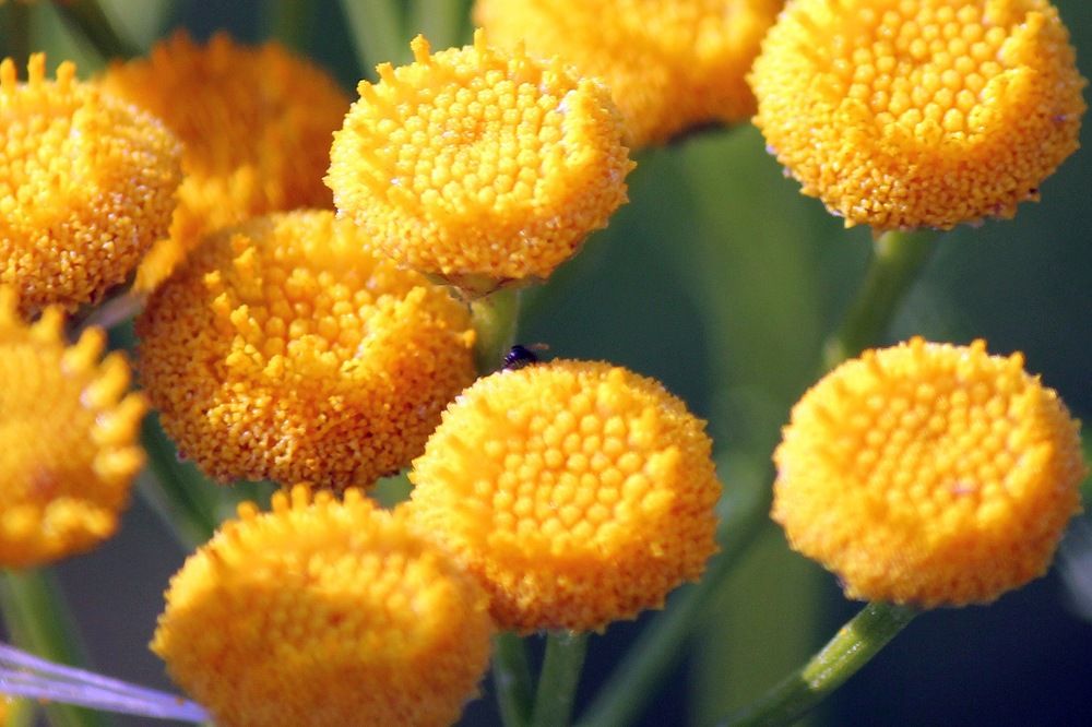 Photograph by Александр Бугаенко