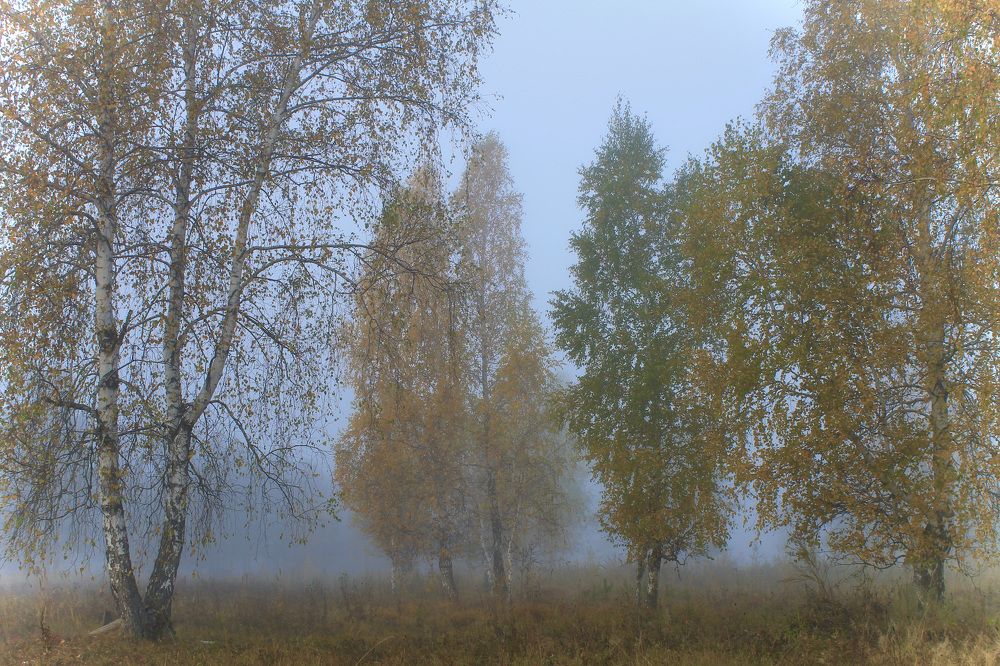 Photograph by Леунина Людмила