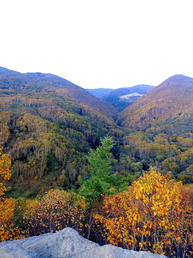 Photograph by Виолетта Беккер