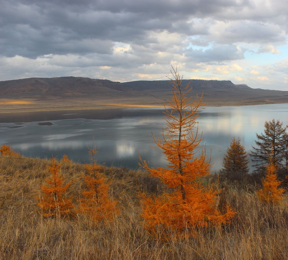 Осень художница.
