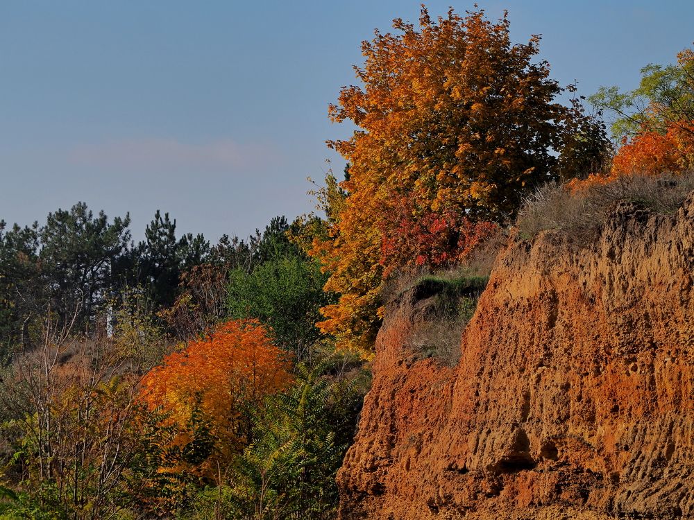 Photograph by Александр Петренко