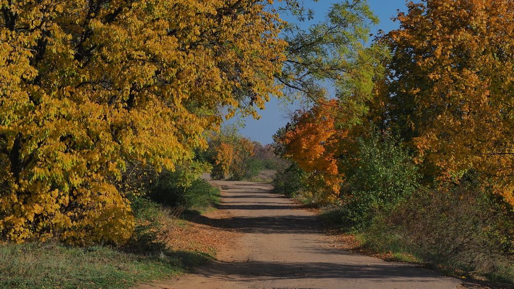 Photograph by Александр Петренко