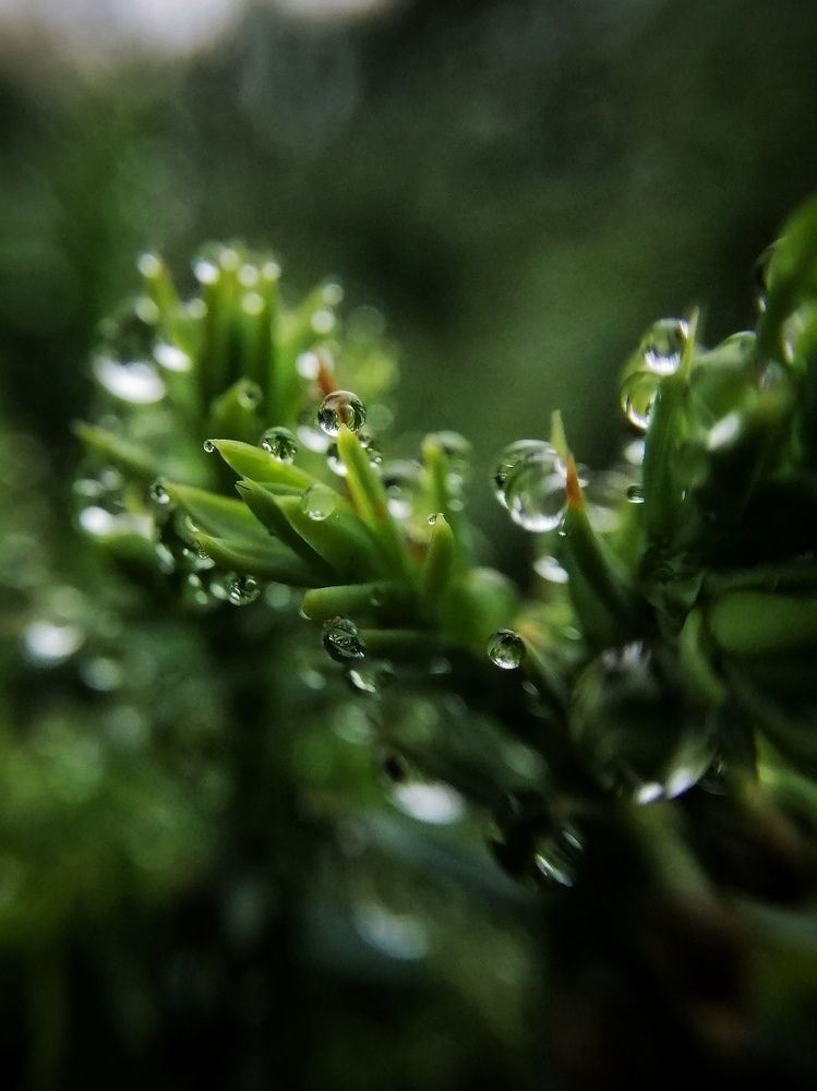 Photo #6585238