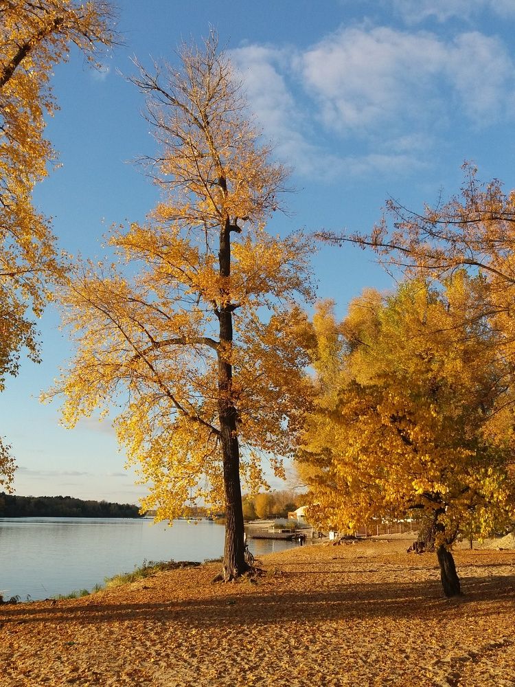 Photo #6585257