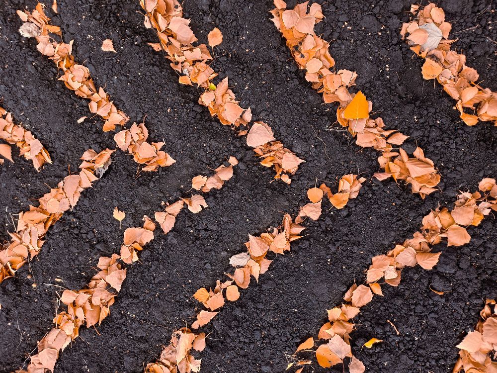 Photograph by Олег Зальвовский