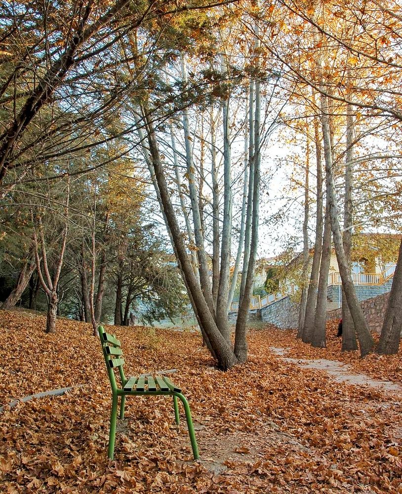 Photograph by Amin Golestanipour