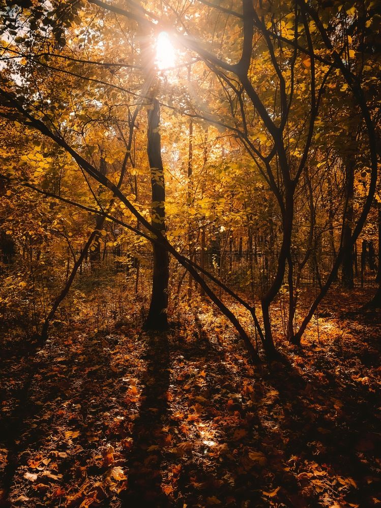 Photograph by Юлия Галлямова