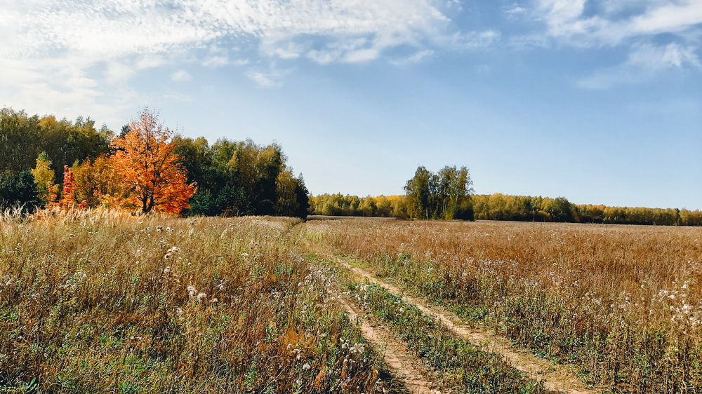 Photograph by Марина Слепова