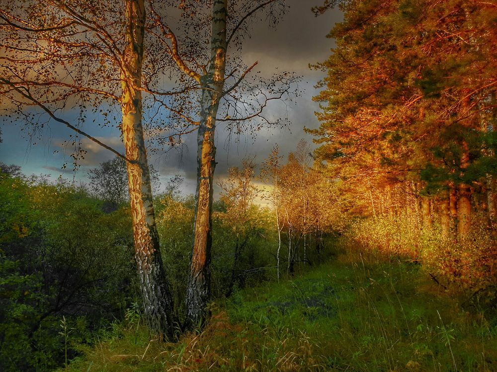 Photograph by Игорь