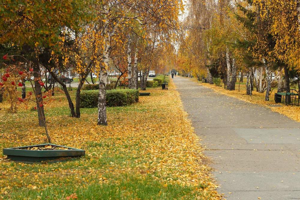 Фотография автора Светлана Дубина