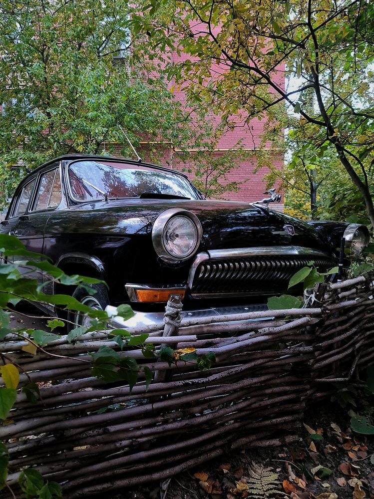 Photograph by Светлана Смирнова