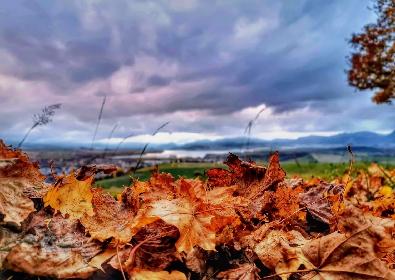 Autumn sky