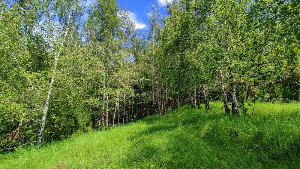 Photograph by Anetta Kopenkina