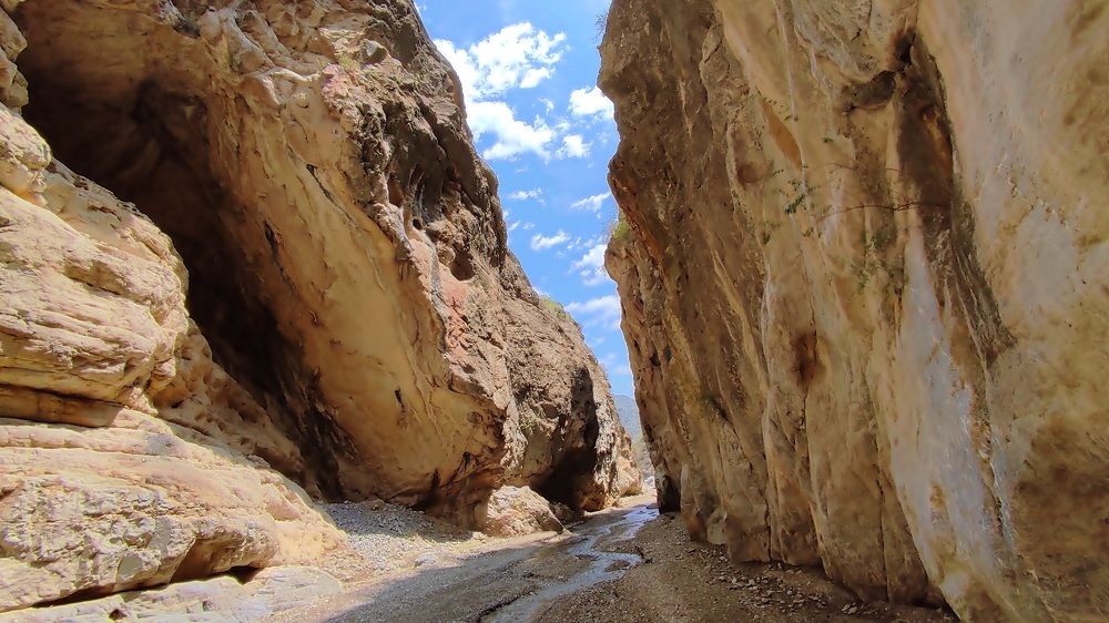 Photograph by Anetta Kopenkina