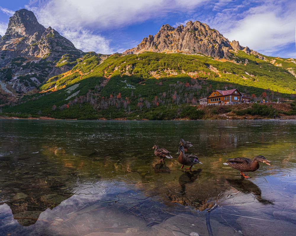 Photograph by Filip Micunda