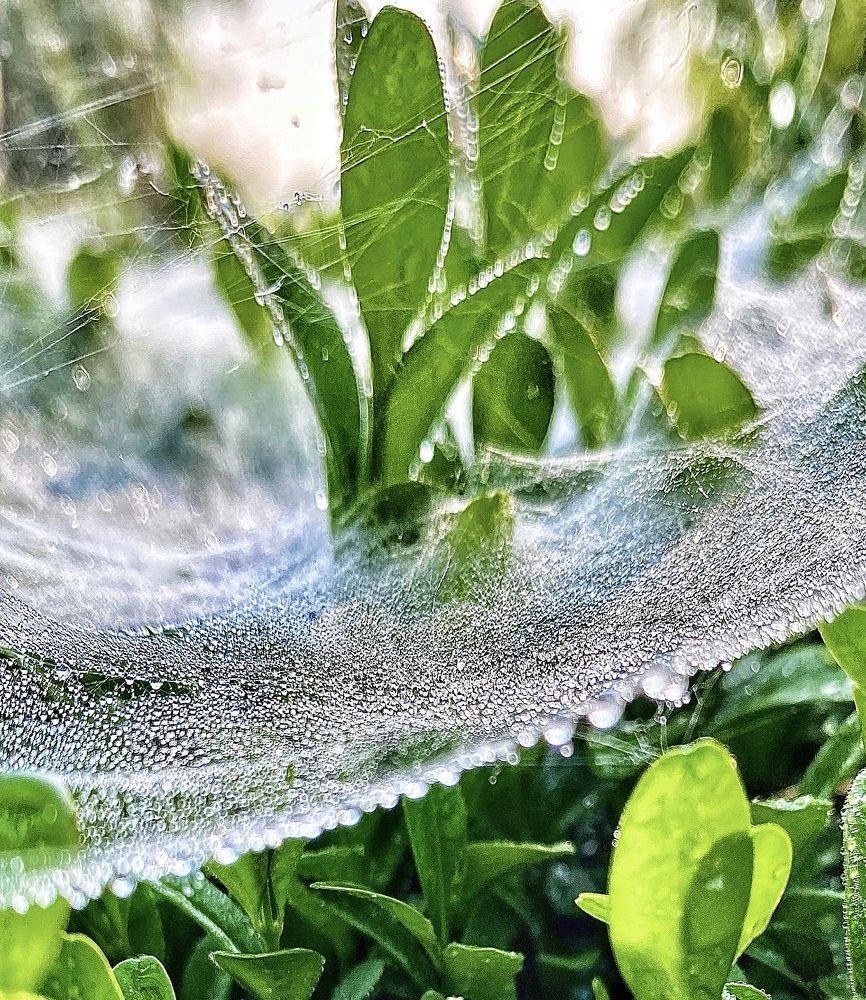 Photograph by Юлия Сергиенко