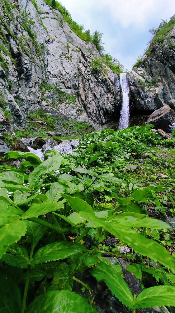 Photograph by Anetta Kopenkina