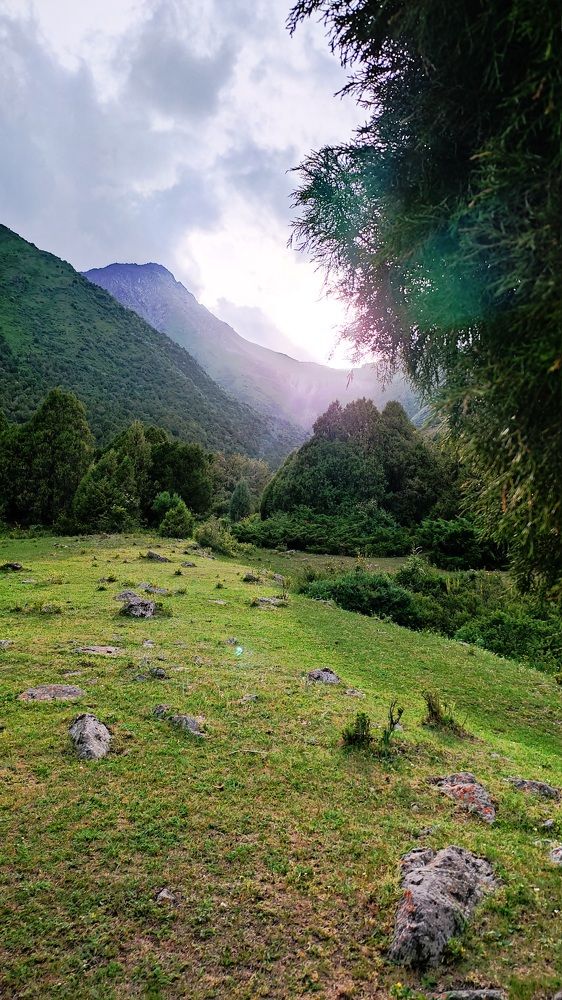 Photograph by Anetta Kopenkina