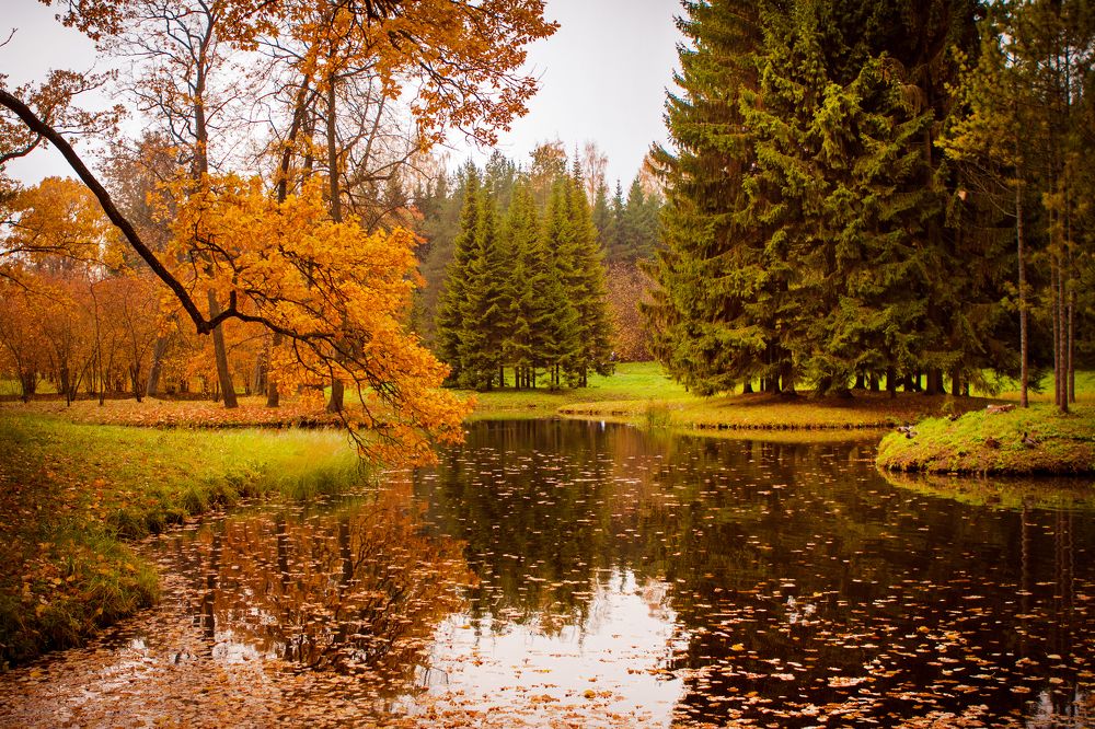 Photograph by Инга Пеннер